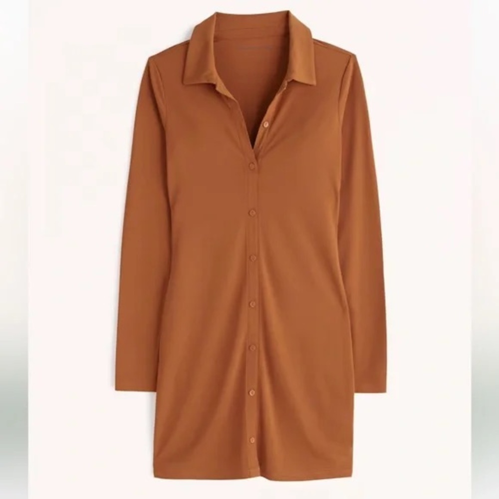Long sleeve slinky knit shirt dress (S)